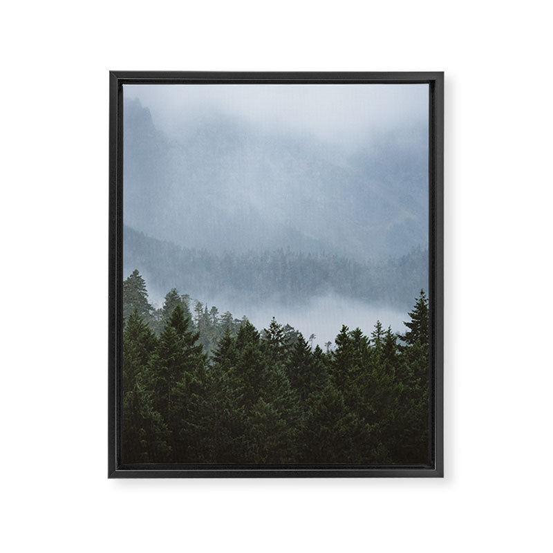 Olympic Mountain Adventures Framed Canvas Print Gallery Image 6