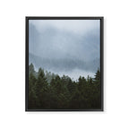 Olympic Mountain Adventures Framed Canvas Print Gallery Image 6