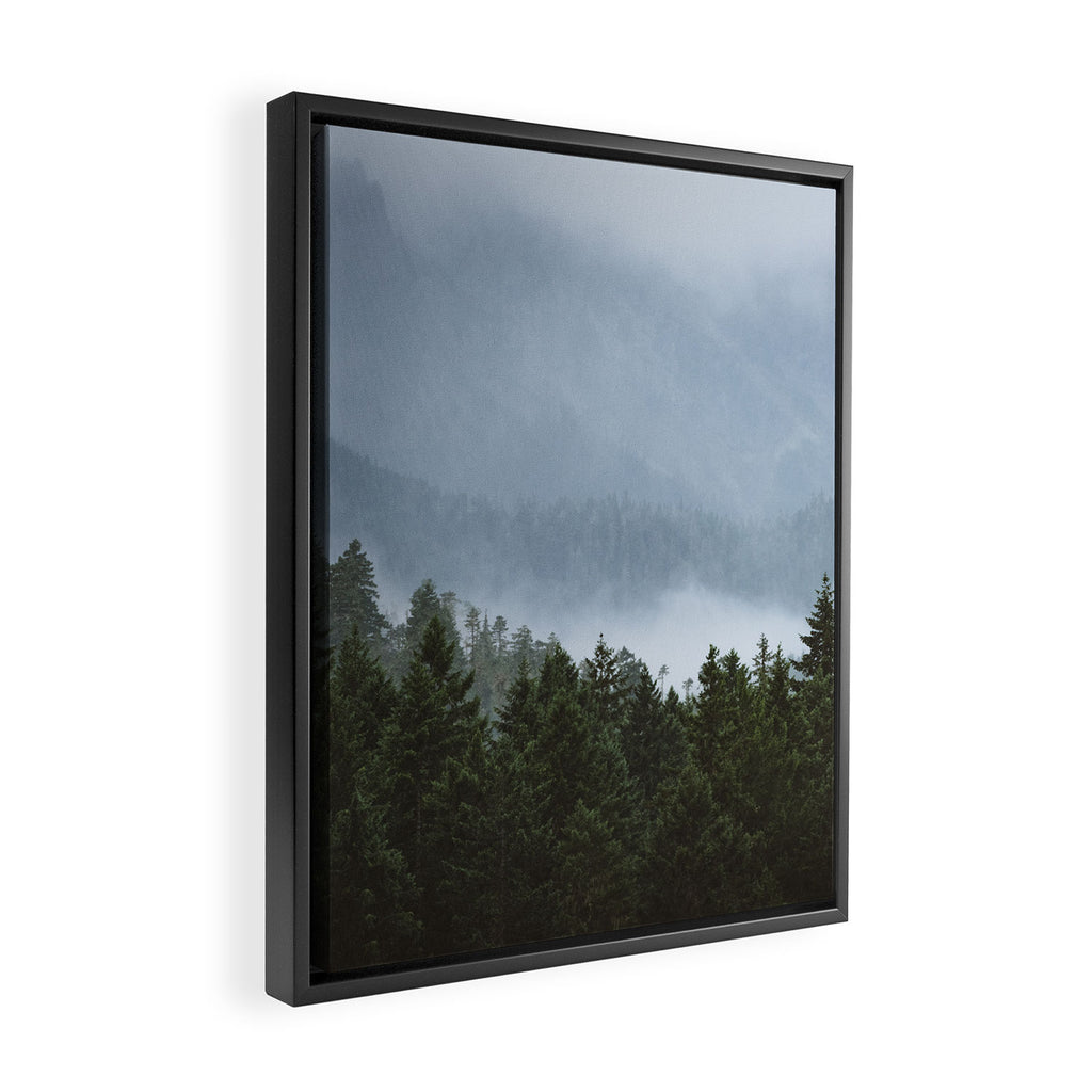 Olympic Mountain Adventures Framed Canvas Print Gallery Image 2