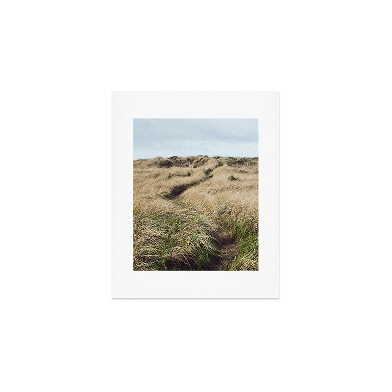 Oregon Dune Grass Adventure - Nature Photography Art Print Gallery Image 1