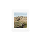 Oregon Dune Grass Adventure - Nature Photography Art Print Gallery Image 1