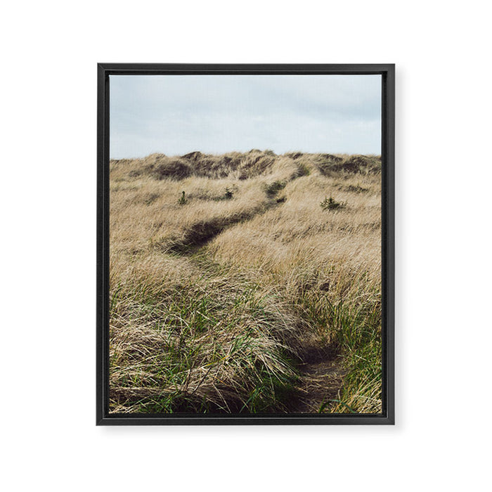 Oregon Dune Grass Adventure - Nature Photography Framed Canvas Print Gallery Image 1