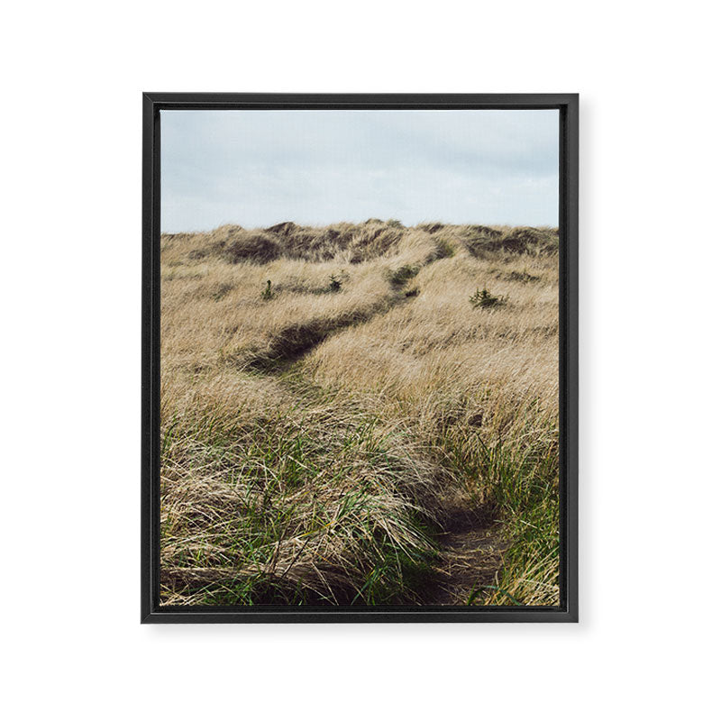 Oregon Dune Grass Adventure - Nature Photography Framed Canvas Print Gallery Image 6
