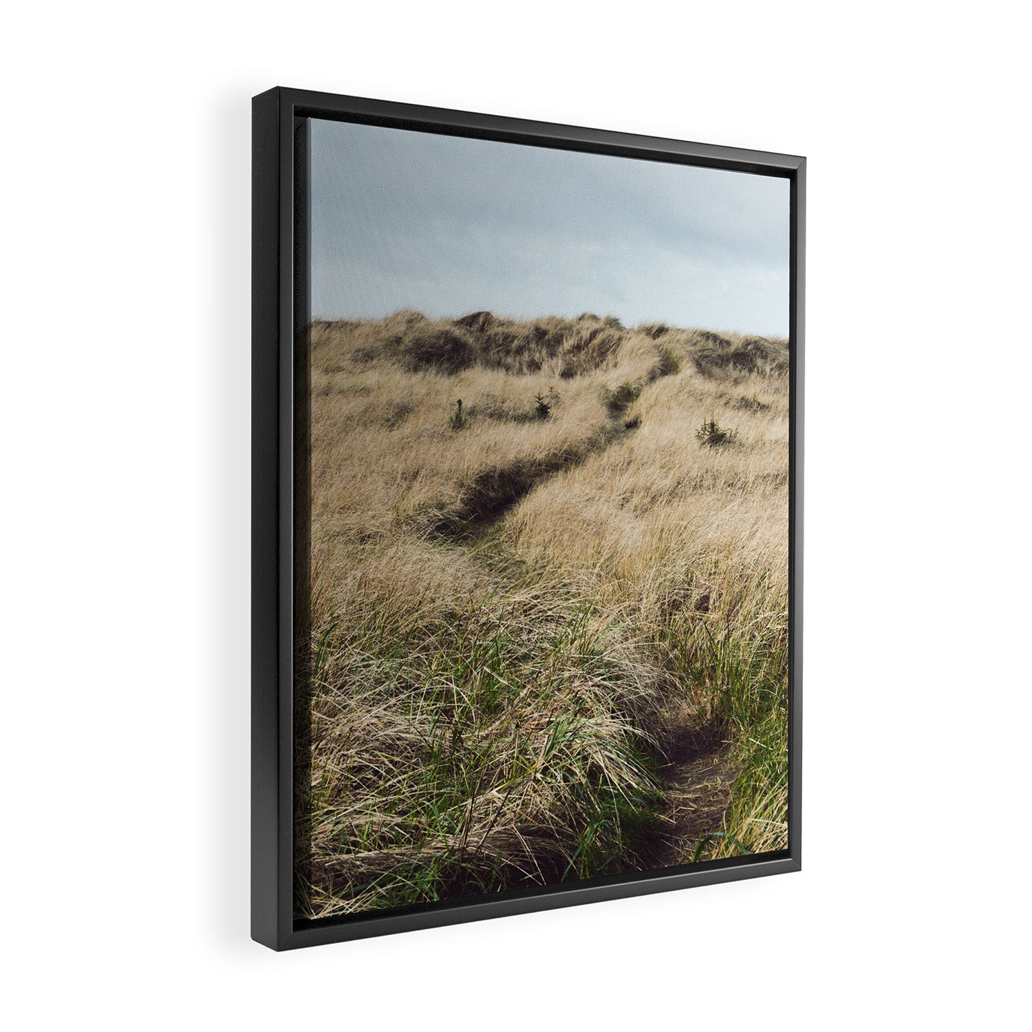 Oregon Dune Grass Adventure - Nature Photography Framed Canvas Print Gallery Image 2