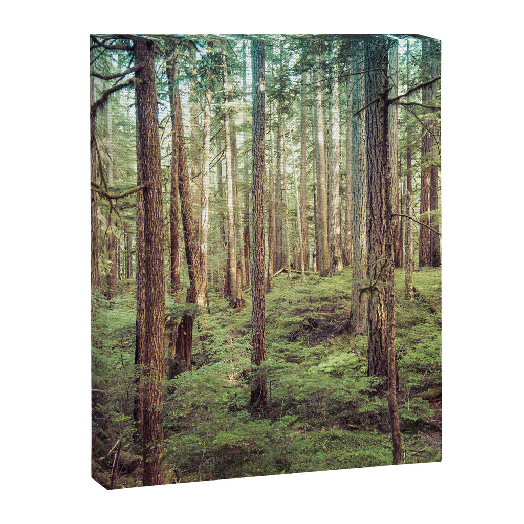 Outdoor Adventure Canvas Print Gallery Image 6