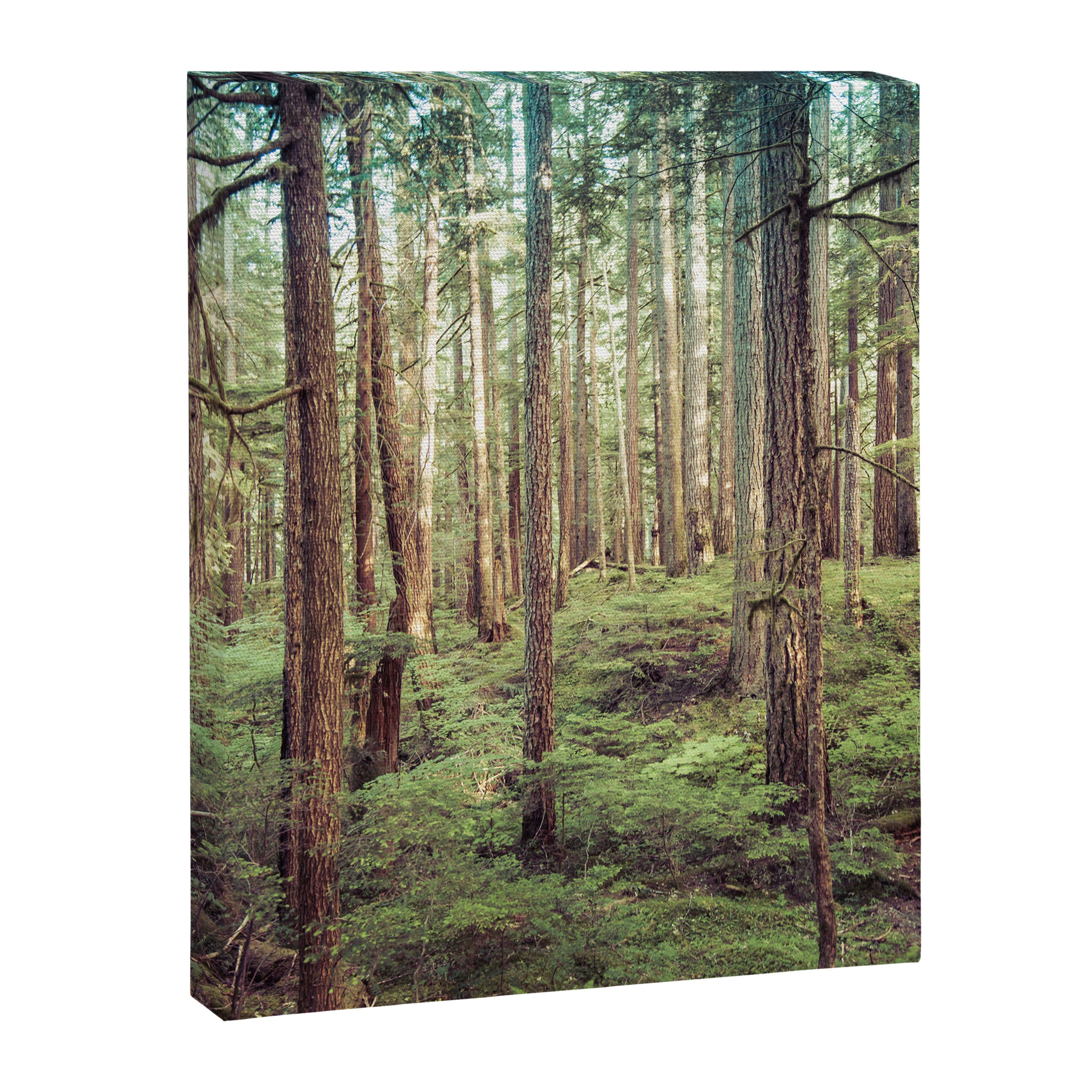 Outdoor Adventure Canvas Print Gallery Image 6