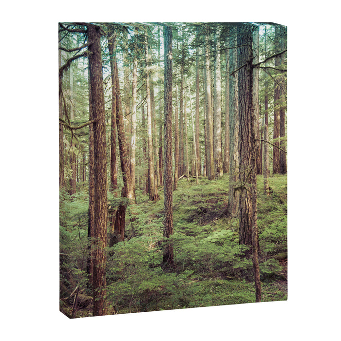 Outdoor Adventure Canvas Print Gallery Image 1