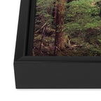 Outdoor Adventure Framed Canvas Print Gallery Image 3