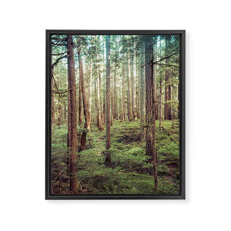 Outdoor Adventure Framed Canvas Print Gallery Image 6