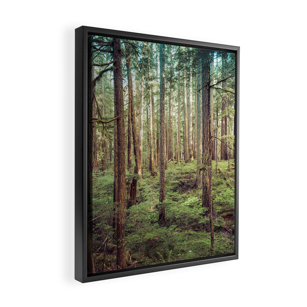 Outdoor Adventure Framed Canvas Print Gallery Image 2