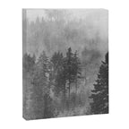 Pacific Northwest Forest Adventure - Nature Photography Canvas Print Gallery Image 6