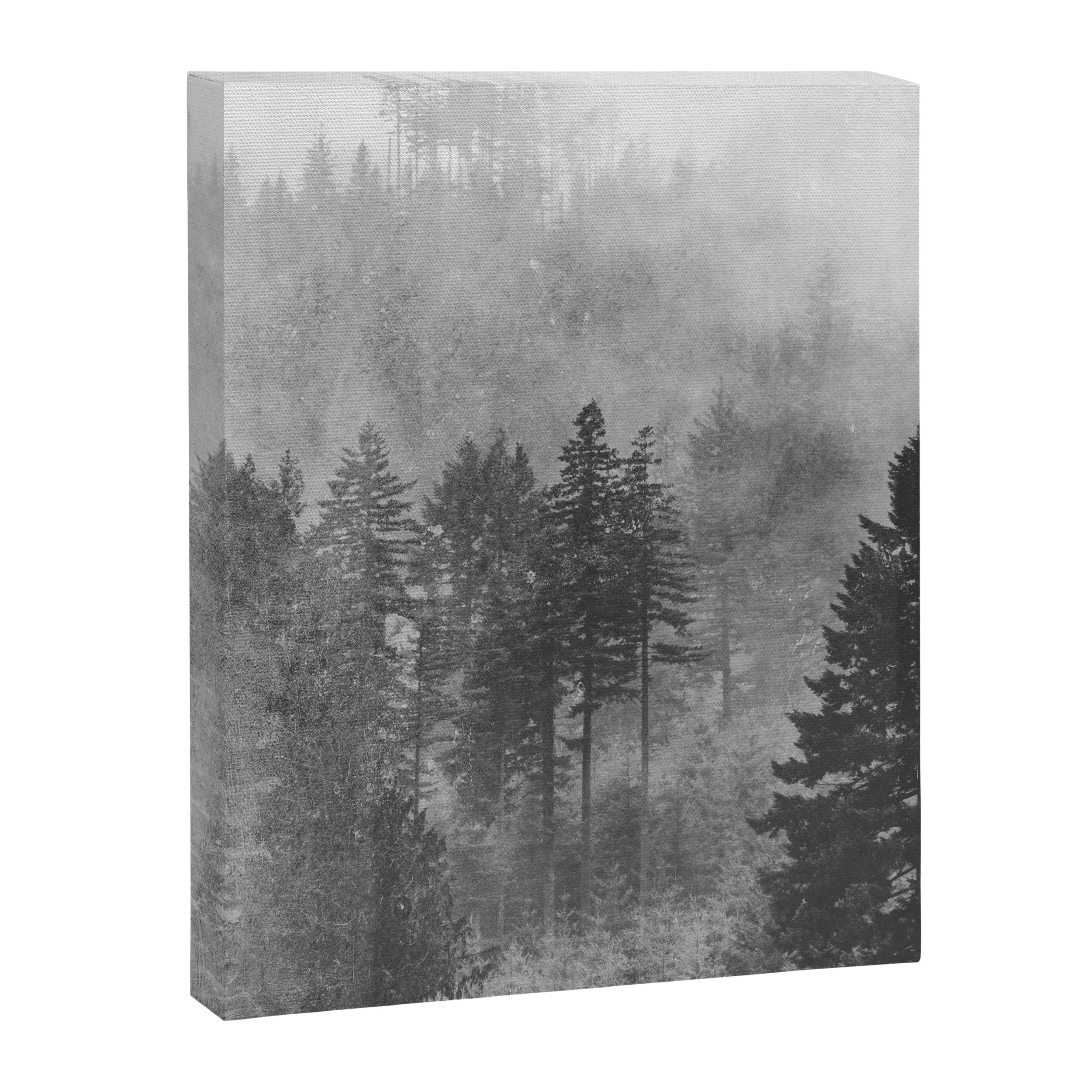 Pacific Northwest Forest Adventure - Nature Photography Canvas Print Gallery Image 6