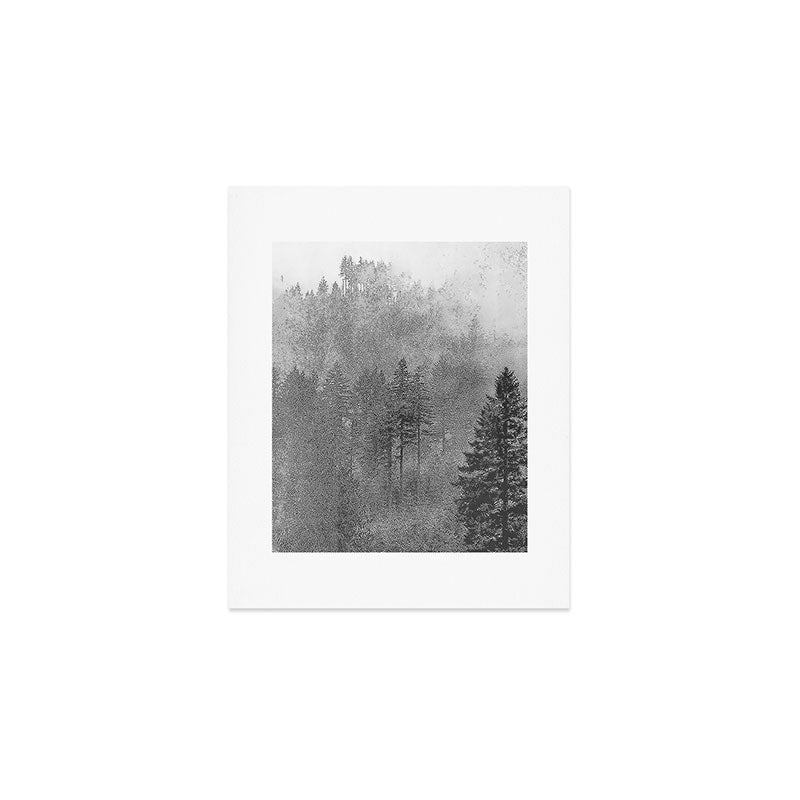 Pacific Northwest Forest Adventure - Nature Photography Art Print Gallery Image 1