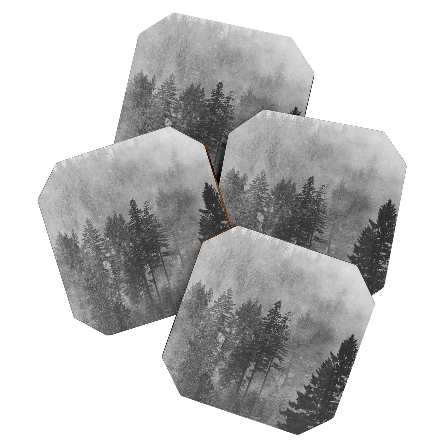 Pacific Northwest Forest Adventure - Nature Photography Coaster Gallery Image 1
