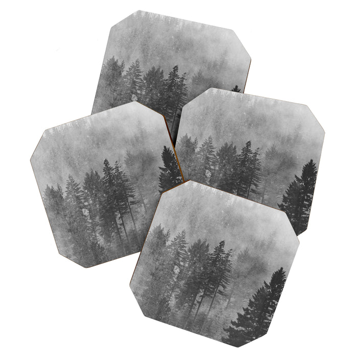 Pacific Northwest Forest Adventure - Nature Photography Coaster Gallery Image 1