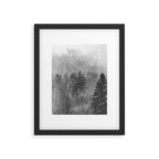 Pacific Northwest Forest Adventure - Nature Photography Framed Art Print Gallery Image 5