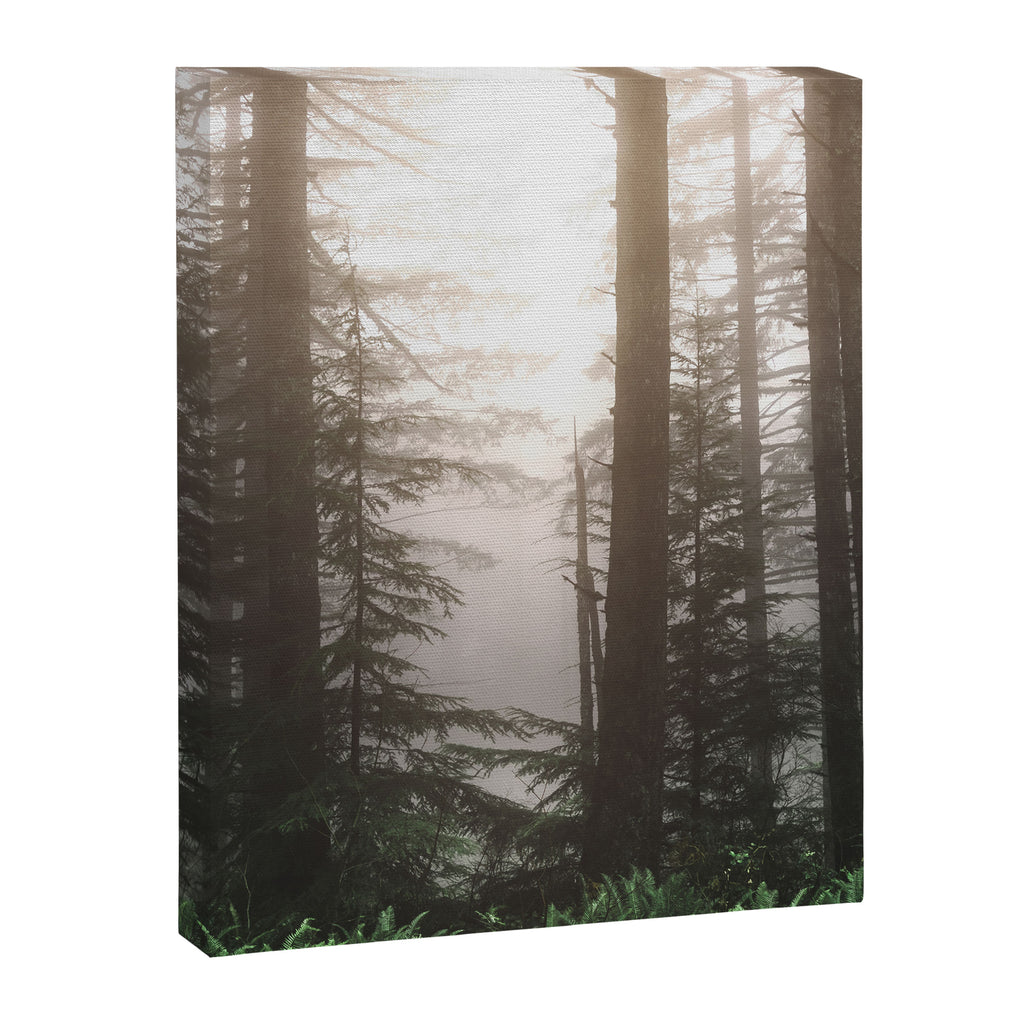 Pacific Northwest Forest Fog Adventures Canvas Print Gallery Image 6