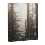 Pacific Northwest Forest Fog Adventures Canvas Print Gallery Image 6