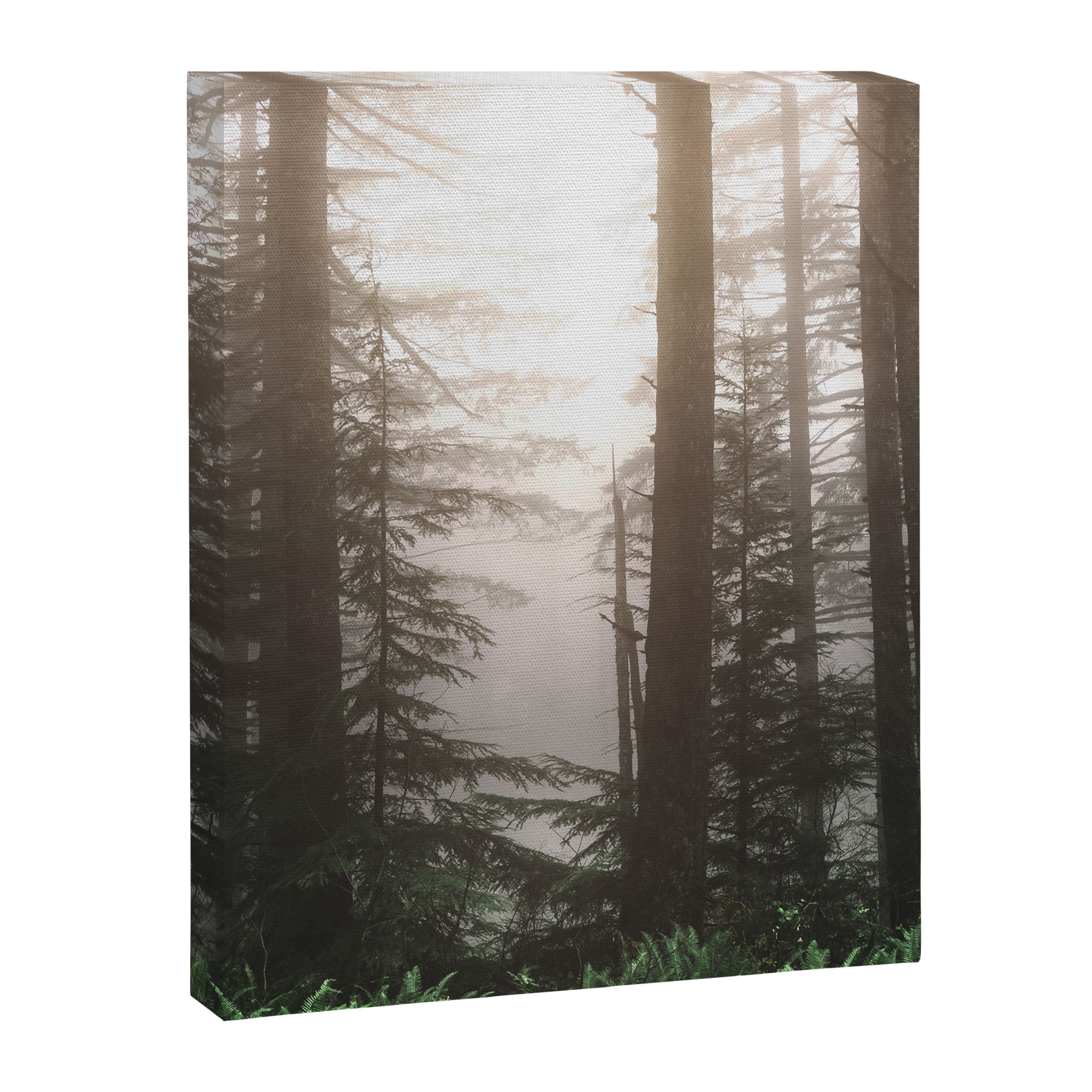 Pacific Northwest Forest Fog Adventures Canvas Print Gallery Image 6