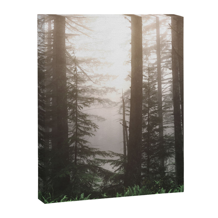 Pacific Northwest Forest Fog Adventures Canvas Print Gallery Image 1