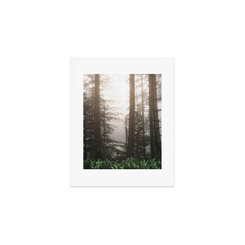 Pacific Northwest Forest Fog Adventures Art Print Gallery Image 1