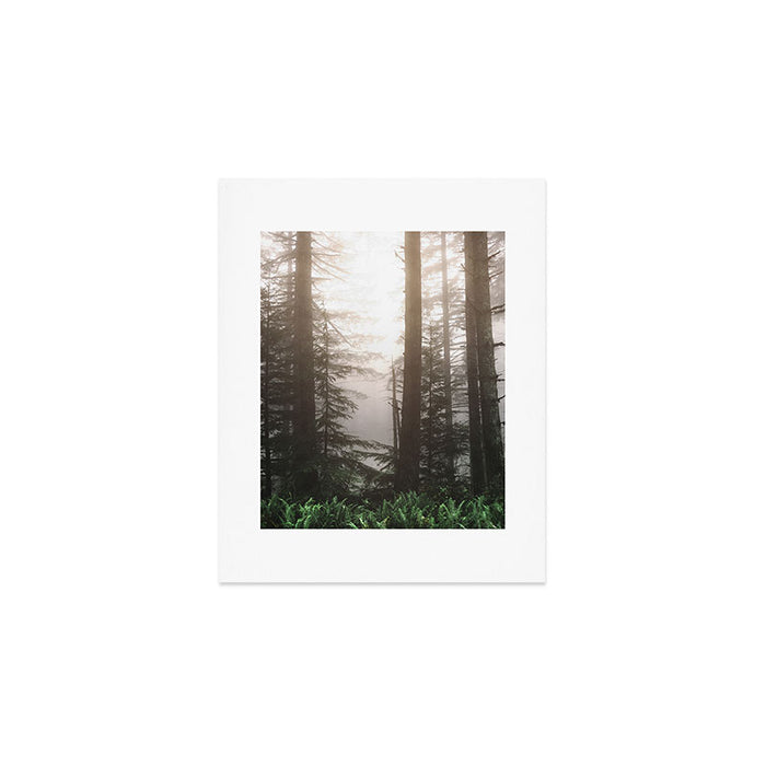 Pacific Northwest Forest Fog Adventures Art Print Gallery Image 1