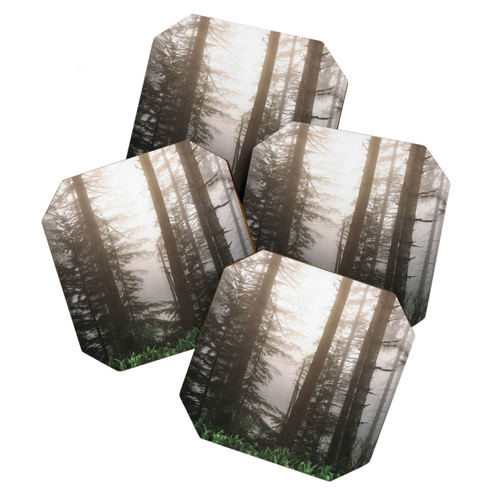 Pacific Northwest Forest Fog Adventures Coaster Gallery Image 1