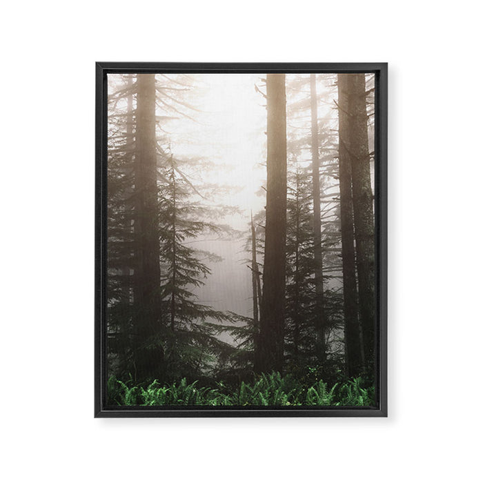 Pacific Northwest Forest Fog Adventures Framed Canvas Print Gallery Image 1