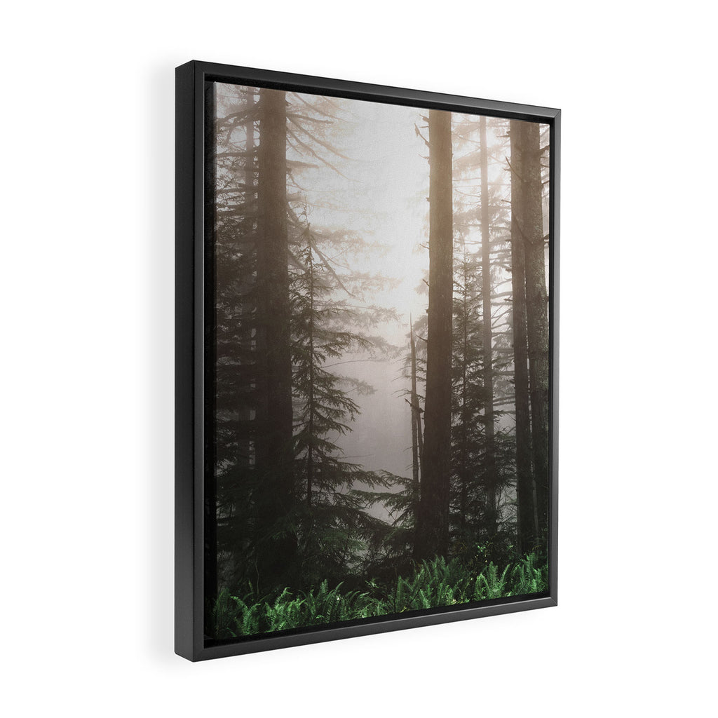 Pacific Northwest Forest Fog Adventures Framed Canvas Print Gallery Image 2