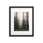 Pacific Northwest Forest Fog Adventures Framed Art Print Gallery Image 5