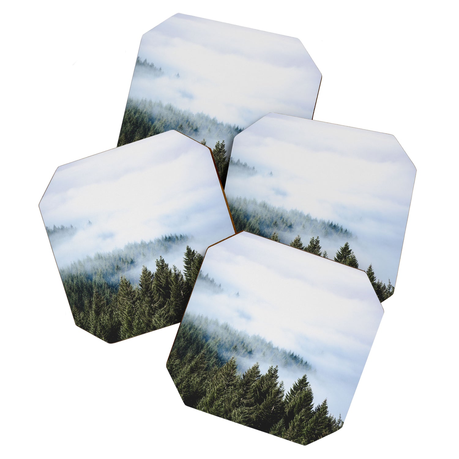 Pacific Northwest Forest Fog - Nature Photography Coaster Gallery Image 1