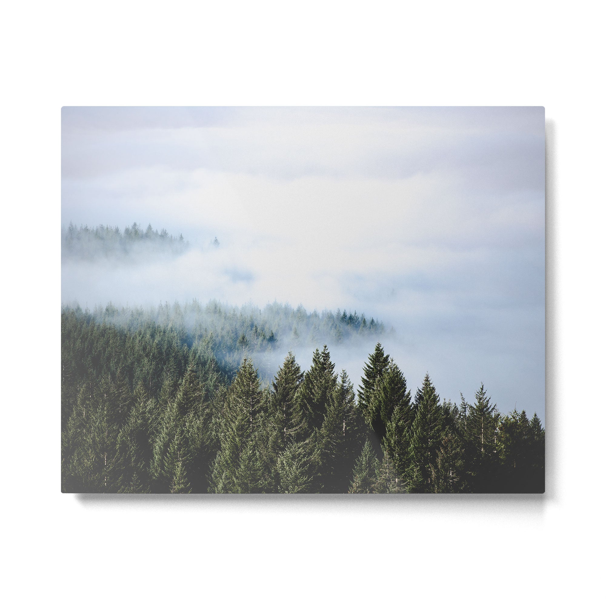 Pacific Northwest Forest Fog - Nature Photography Metal Print Gallery Image 4