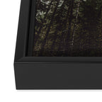Pacific Northwest Forest Framed Canvas Print Gallery Image 3