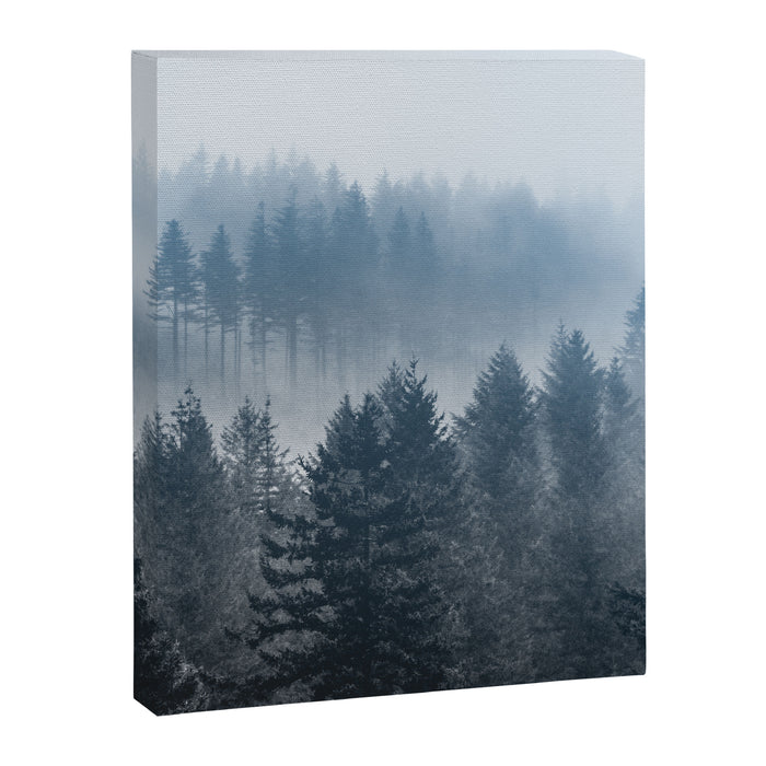 Pacific Northwest Forest Adventure II - Nature Photography Canvas Print Gallery Image 1