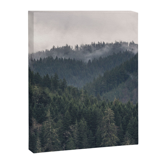 Pacific Northwest Forest - Nature Photography Canvas Print Gallery Image 1