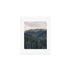 Pacific Northwest Forest - Nature Photography Art Print Gallery Image 1