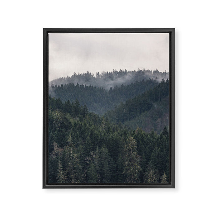 Pacific Northwest Forest - Nature Photography Framed Canvas Print Gallery Image 1