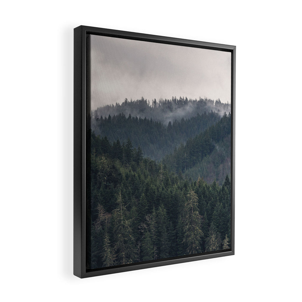 Pacific Northwest Forest - Nature Photography Framed Canvas Print Gallery Image 2