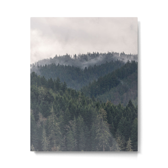 Pacific Northwest Forest - Nature Photography Metal Print Gallery Image 1