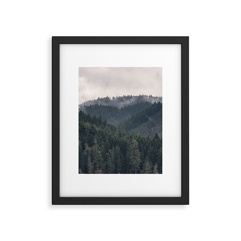 Pacific Northwest Forest - Nature Photography Framed Art Print Gallery Image 5