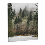 Pacific Northwest Forest River - 24/365 Canvas Print Gallery Image 6
