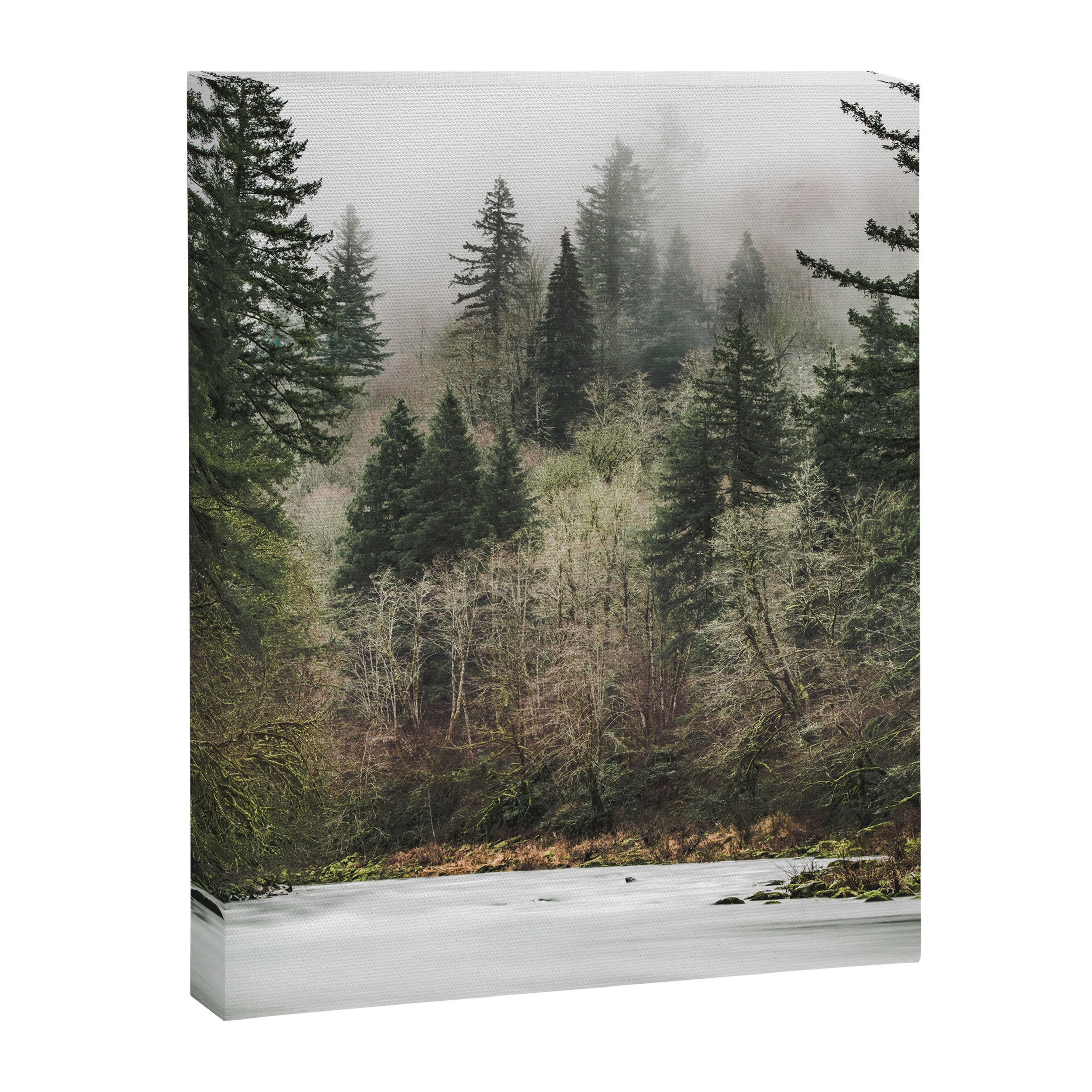 Pacific Northwest Forest River - 24/365 Canvas Print Gallery Image 6