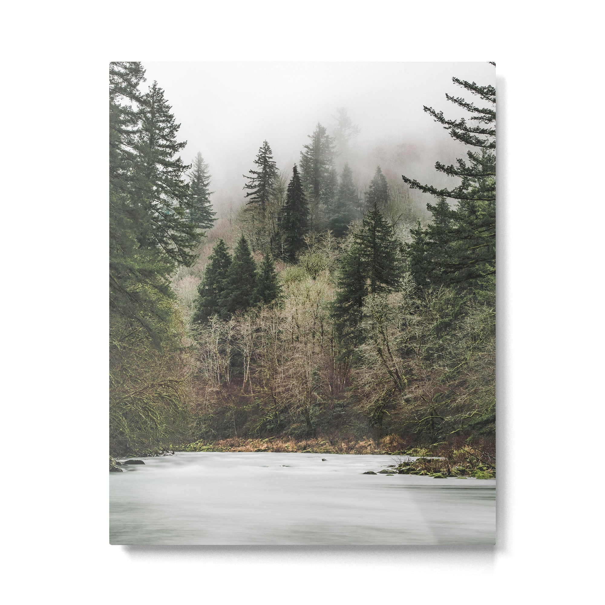 Pacific Northwest Forest River - 24/365 Metal Print Gallery Image 4