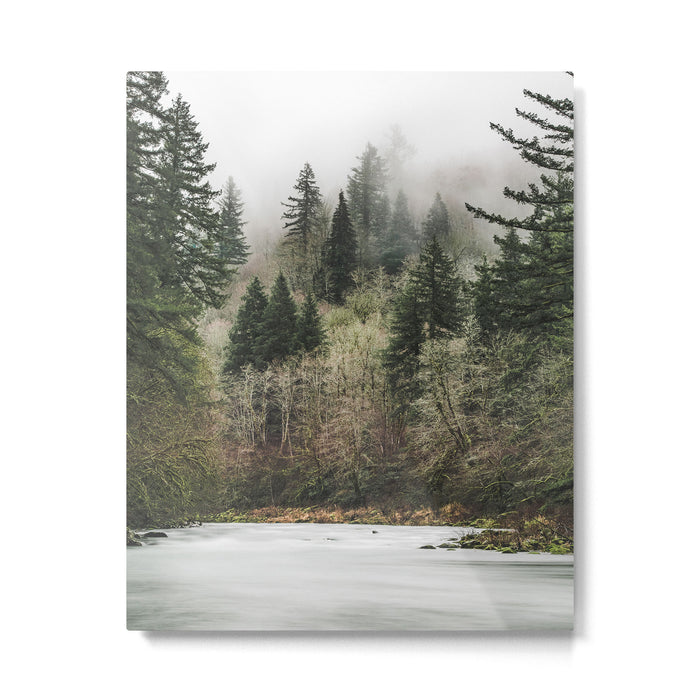 Pacific Northwest Forest River - 24/365 Metal Print Gallery Image 1