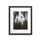 Pacific Northwest Forest Framed Art Print Gallery Image 5