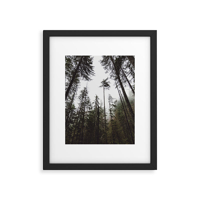 Pacific Northwest Forest Framed Art Print Gallery Image 5