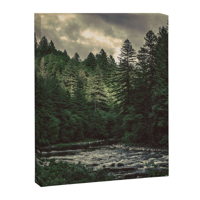 Pacific Northwest River - Nature Photography Canvas Print Gallery Image 1