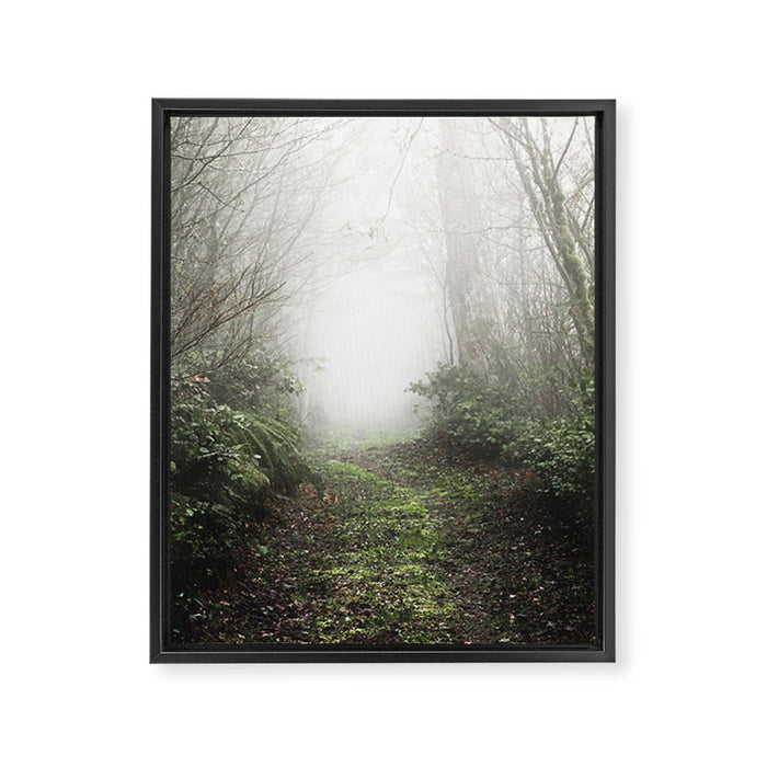 Pacific Northwest Trails - 121/365 Nature Photography Framed Canvas Print Gallery Image 1