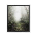 Pacific Northwest Trails - 121/365 Nature Photography Framed Canvas Print Gallery Image 6
