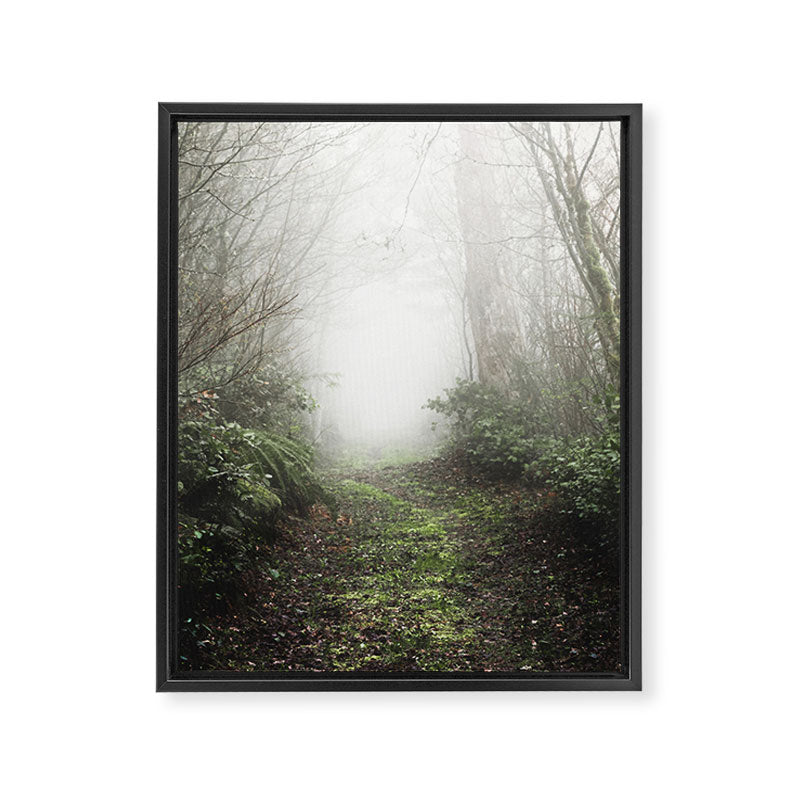 Pacific Northwest Trails - 121/365 Nature Photography Framed Canvas Print Gallery Image 6